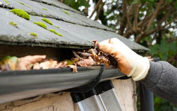 gutter cleaning Carnassarie, Argyll And Bute